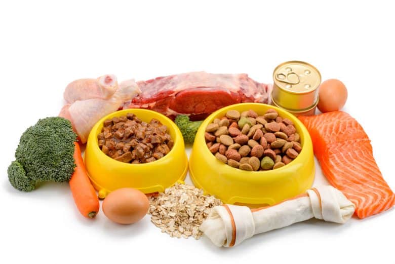 ウェット&ドライドッグフードを取り巻く野菜や肉