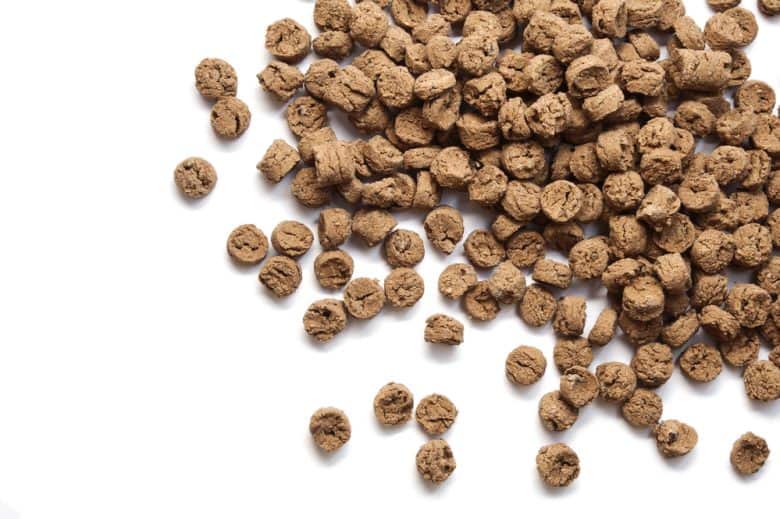 Cubes of freeze dried beef liver treats 