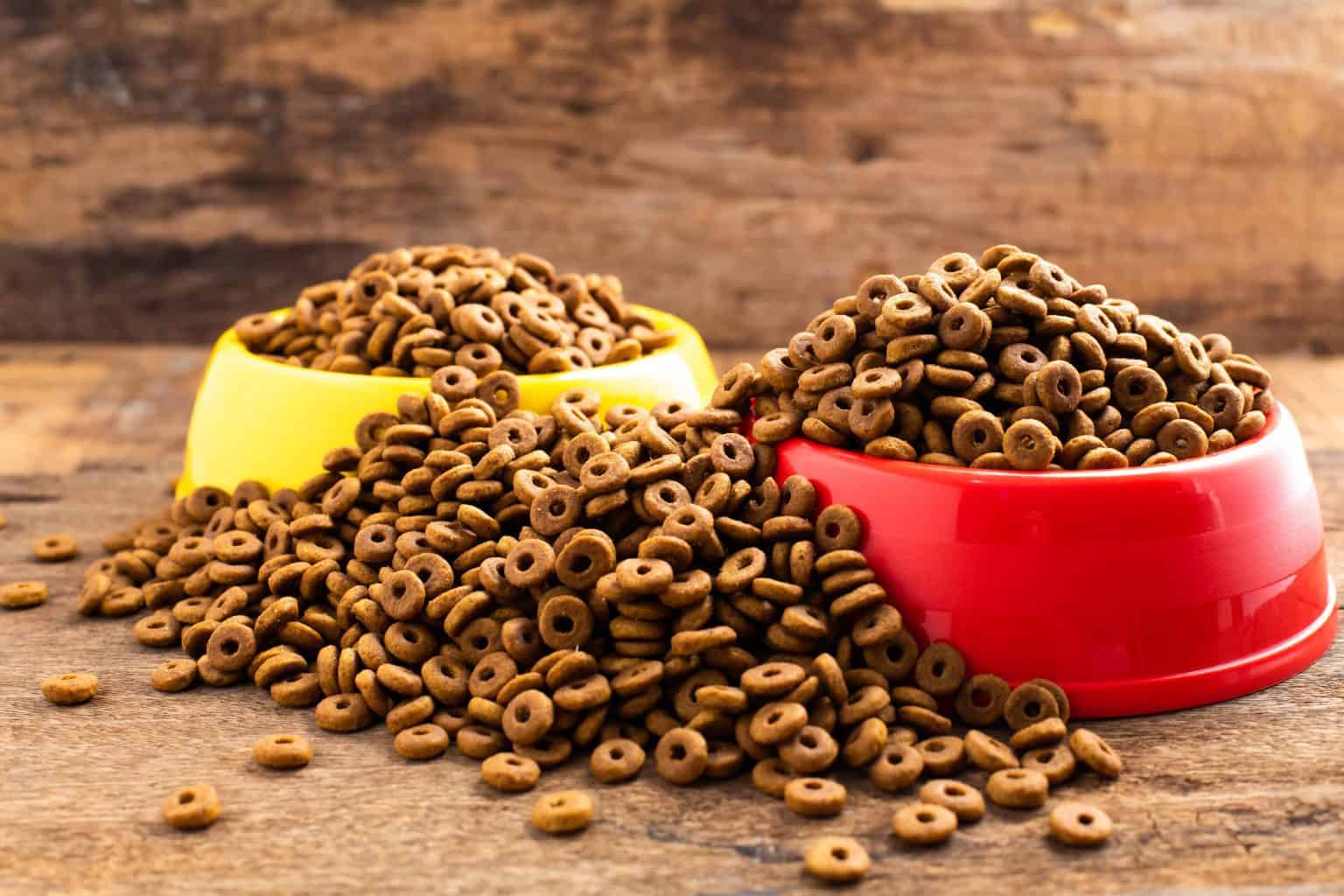 Is Wet Dog Food Better Than Dry Dog Food? K9 Web