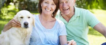 happy senior couple sitting with their Labrador Retriever