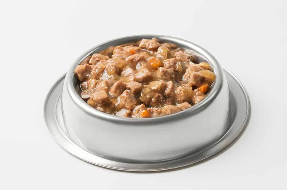 A bowl with chunky wet dog food