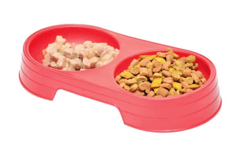 a red dog bowl with wet and dry dog food