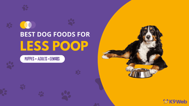 Best Dog Food for Less Poop Review