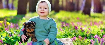 a happy little boy with a Yorkie
