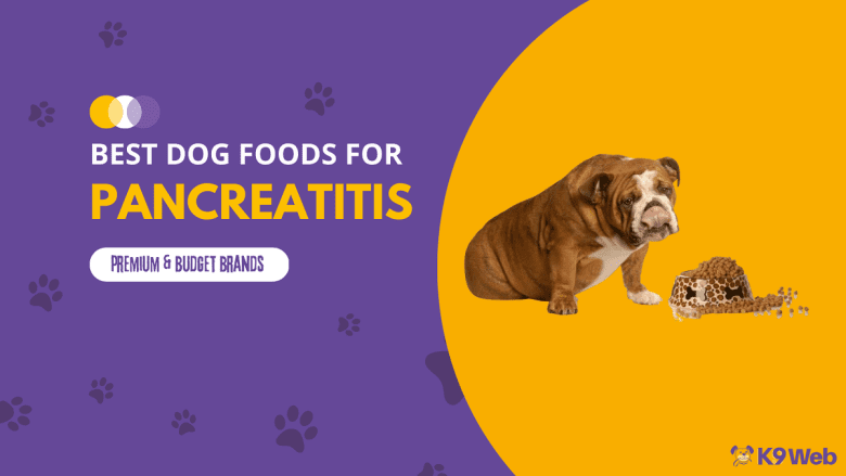 Best Dog Food for Pancreatitis Review