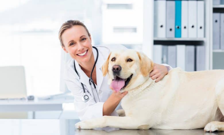 Dog posing with his veterinary doctor