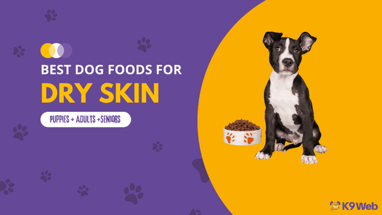 Best Dog Food for Dry Skin Review
