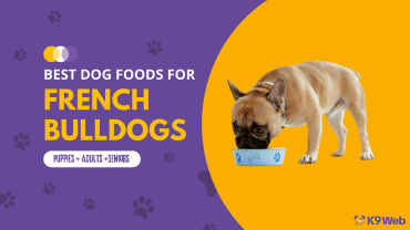 Best Dog Food for French Bulldog Review