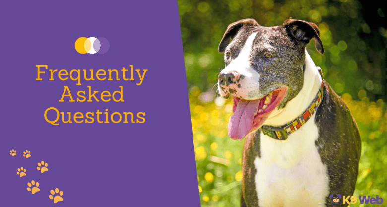 FAQ about Pitbull