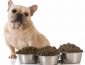 18 Best Dog Foods for French Bulldogs 2023 (Premium & Budget)