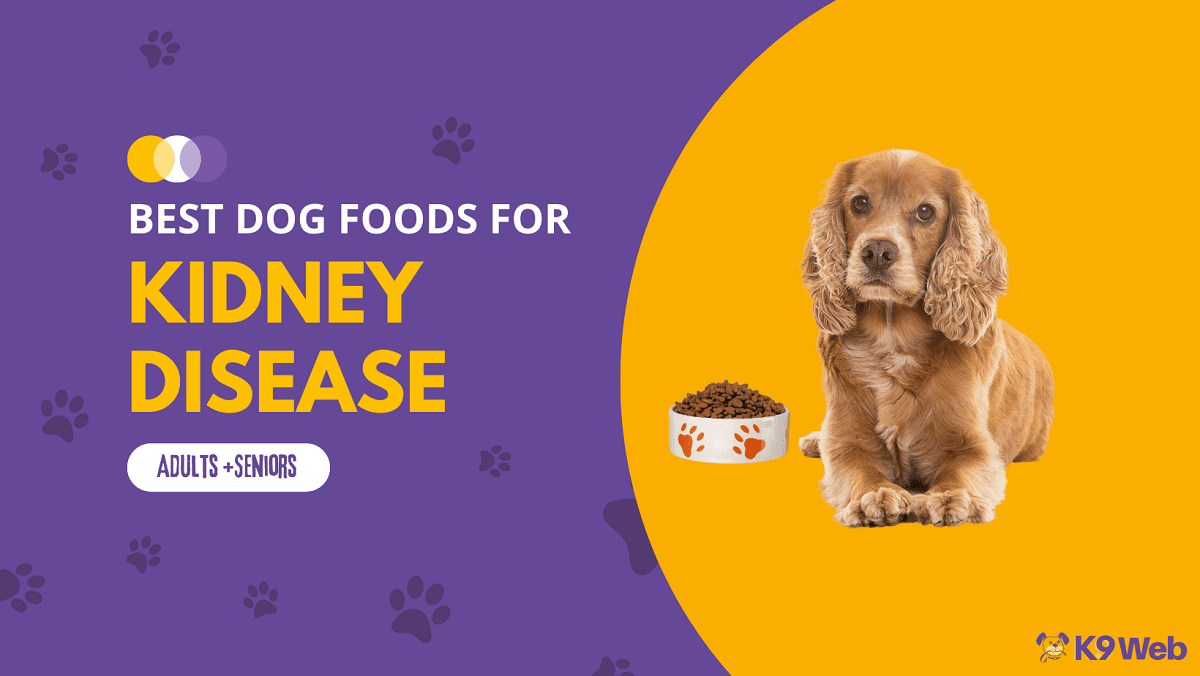 Best Dog Food for Kidney Disease Review