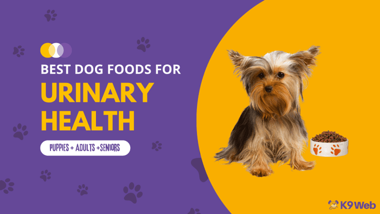 10 Best Dog Foods for Urinary Health 2023 (Premium & Budget) - K9 Web