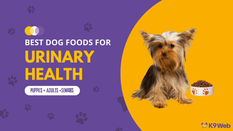 Best Dog Food for Urinary Health Review