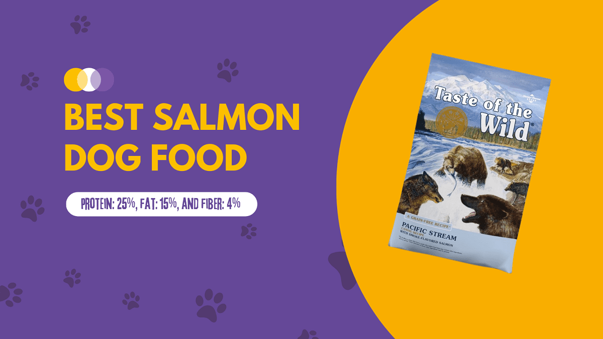Best Salmon Dog Food Review
