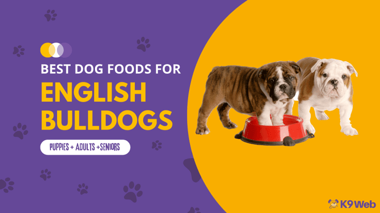 Best Dog Food for English Bulldog Review
