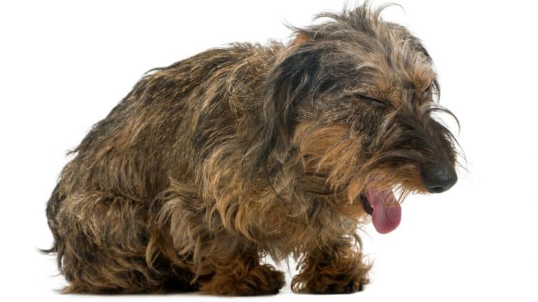 Dry Heaving: Treatment, Causes, And More