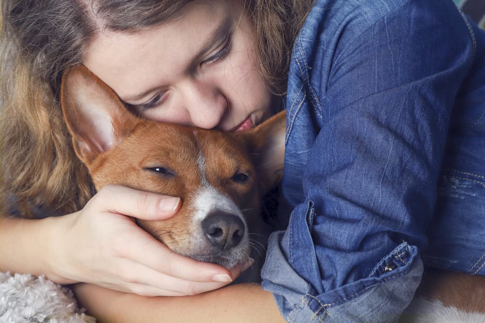 A Basenji dog being hugged by a girl