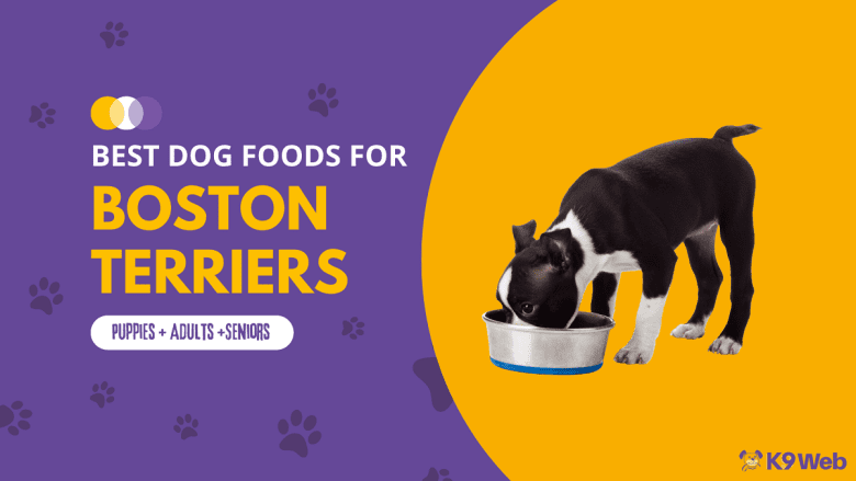 Best Dog Food for Boston Terrier Review