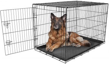 A German Shepherd dog sitting inside an open wire crate