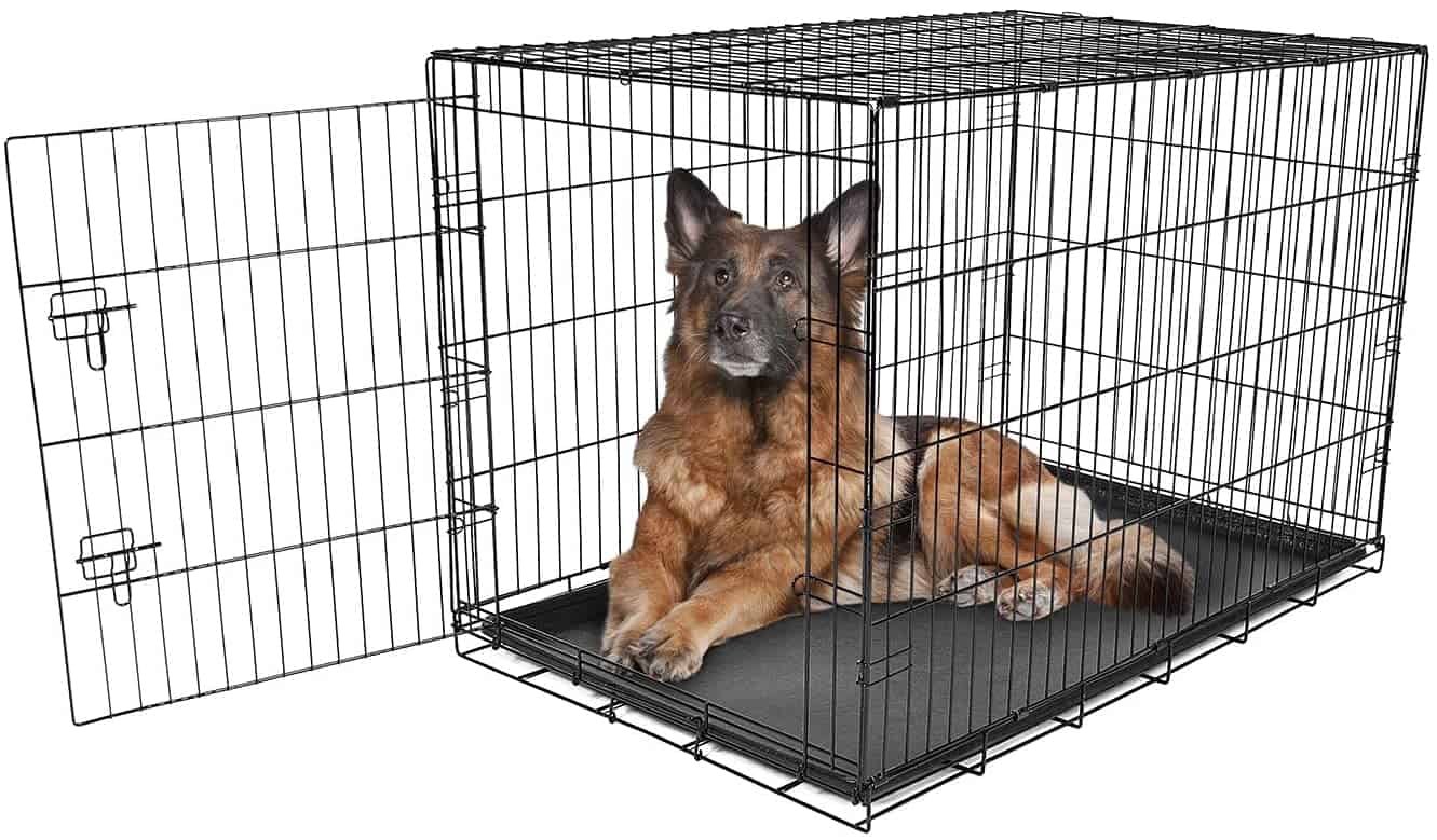 The 10 Best Dog Crates for Your Siberian Husky K9 