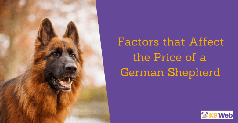 Factors that affect the pricing of a German Shepherd