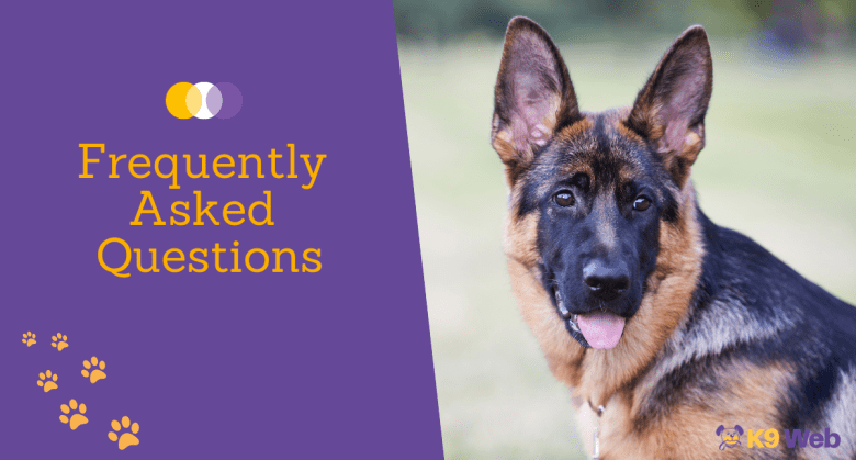 FAQ about German Shepherd Cost