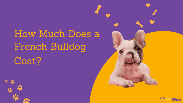 French Bulldog Price Guide