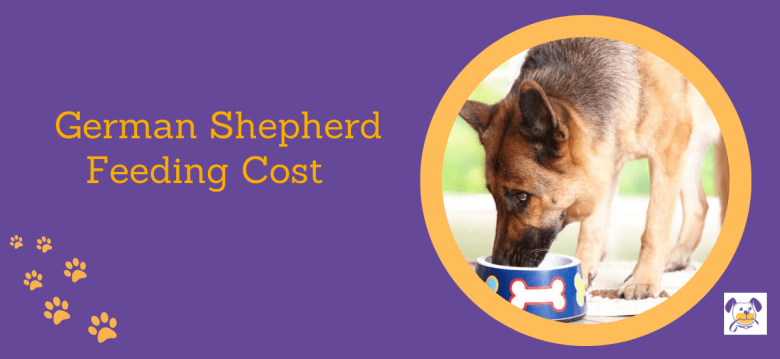 German Shepherd Feeding Cost