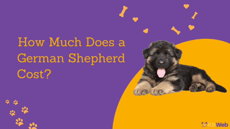 German Shepherd Price Guide