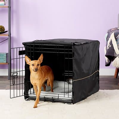 A dog coming out of an open wire dog crate that is partially covered by a black polyester cloth
