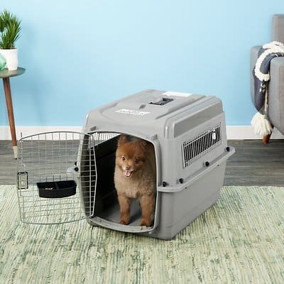 A brown dog inside a gray plastic crate