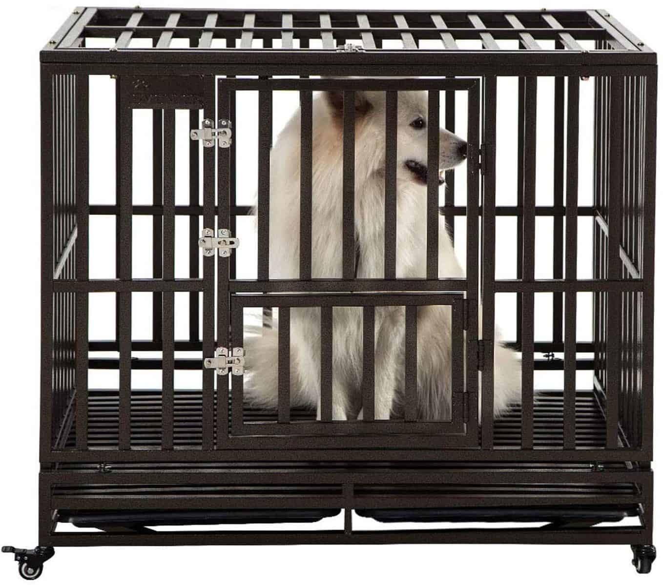 The 10 Best Dog Crates for Your Siberian Husky K9 