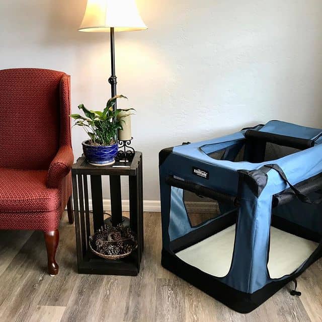 A black-and-blue, collapsible soft dog crate standing among a lampshade and a chair in a living room