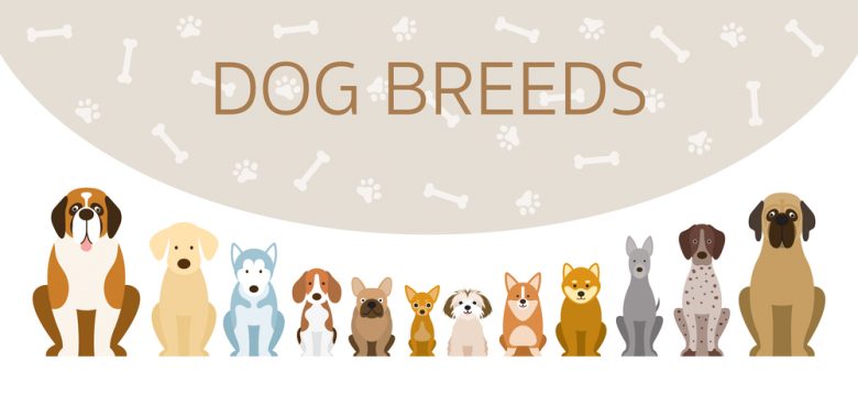 Illustration of different dog breeds