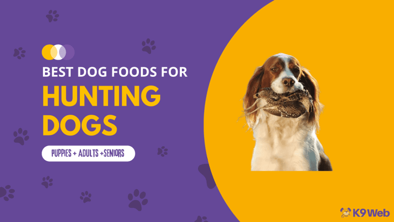 Best Dog Food for Hunting Dog Review