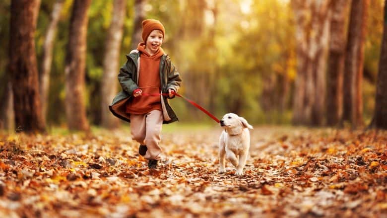 A boy running with a Golden Retriever puppy