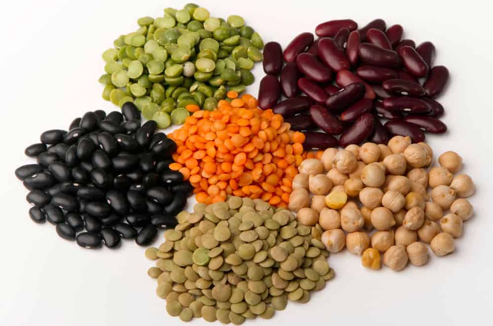 Different kinds of legumes