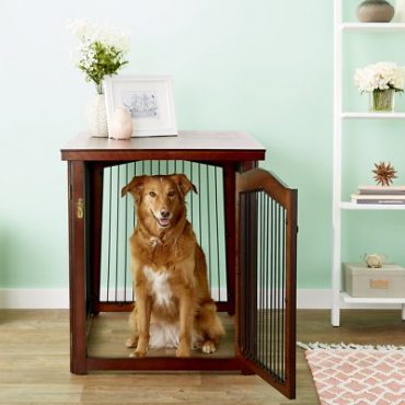 A tan-and-white dog inside a Merry Pet Configurable Pet Crate
