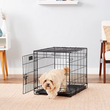 A dog walking out of an open black wire dog crate