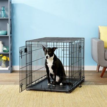 A black-and-white dog sitting inside a black wire dog crate