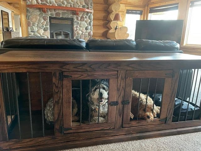 Two Miniature Poodle Mixes inside a wooden dog crate