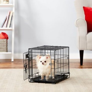A Papillon inside a MidWest iCrate Wire Dog Crate