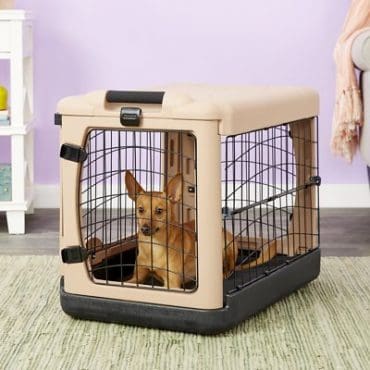 A brown dog inside a Pet GearSteel Dog Crate