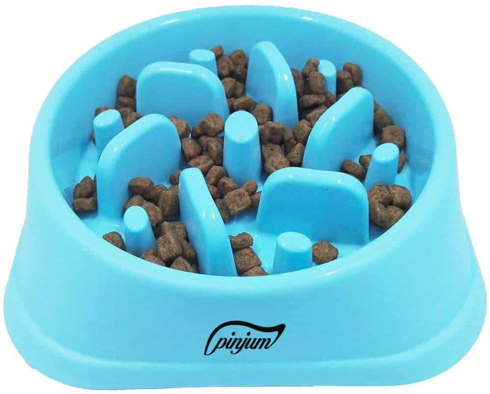 12 Best Slow Feed Dog Bowls for Your Pal K9 