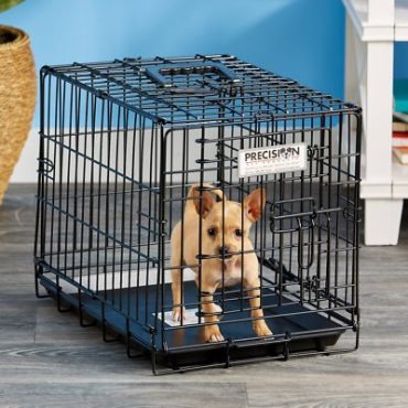 A Chihuahua inside a Precision Pet Collapsible Wire Dog Crate 