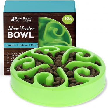 Raw Paws Slow Feeder Dog Bowl