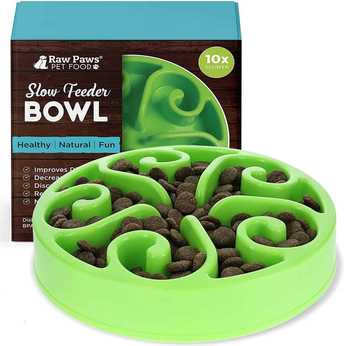 12 Best Slow Feed Dog Bowls for Your Pal K9 