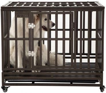 A white dog sitting inside a Smonter Strong Metal Dog Crate