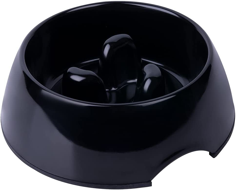 12 Best Slow Feed Dog Bowls for Your Pal K9 