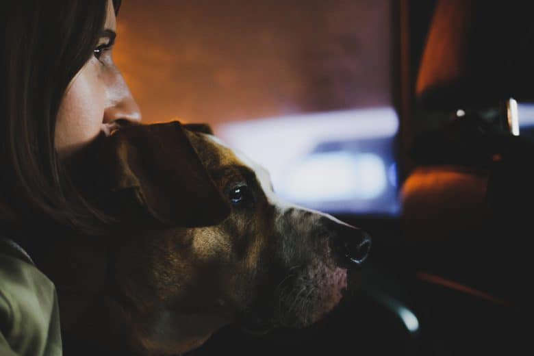 A woman hugging a Staffordshire Terrier in a car